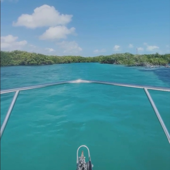 Meet your Posher, Wanda - Picture 1 of 1